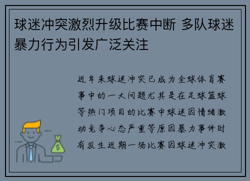 球迷冲突激烈升级比赛中断 多队球迷暴力行为引发广泛关注